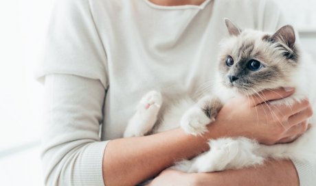 Chambre d'hôtes acceptant les animaux à Bagnères-de-Luchon